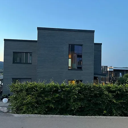Villa Sentrumsnaer Enebolig Skien